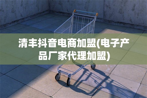 清丰抖音电商加盟(电子产品厂家代理加盟)