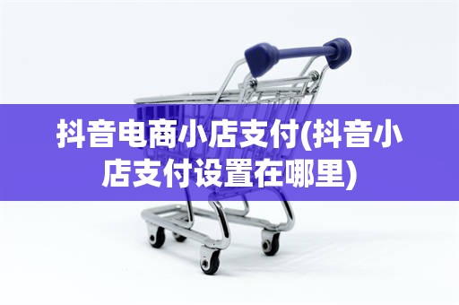 抖音电商小店支付(抖音小店支付设置在哪里)