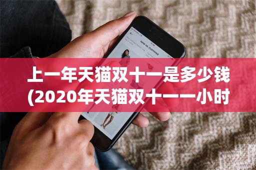 上一年天猫双十一是多少钱(2020年天猫双十一一小时成交额)