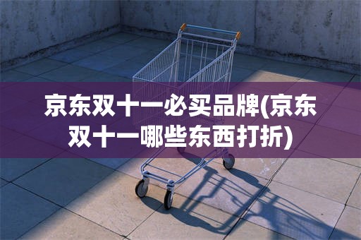 京东双十一必买品牌(京东双十一哪些东西打折)