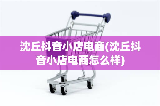 沈丘抖音小店电商(沈丘抖音小店电商怎么样)