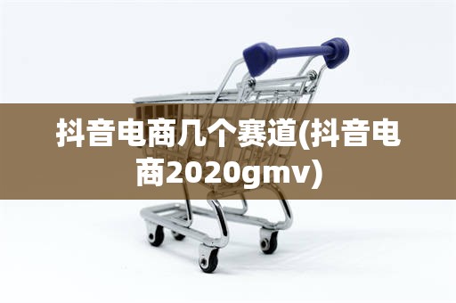 抖音电商几个赛道(抖音电商2020gmv)