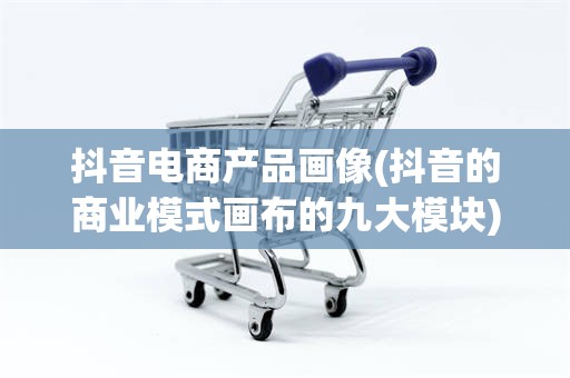 抖音电商产品画像(抖音的商业模式画布的九大模块)