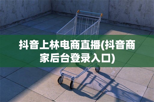 抖音上林电商直播(抖音商家后台登录入口)