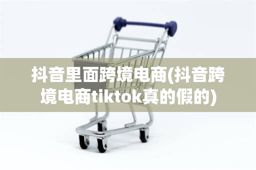 抖音里面跨境电商(抖音跨境电商tiktok真的假的)